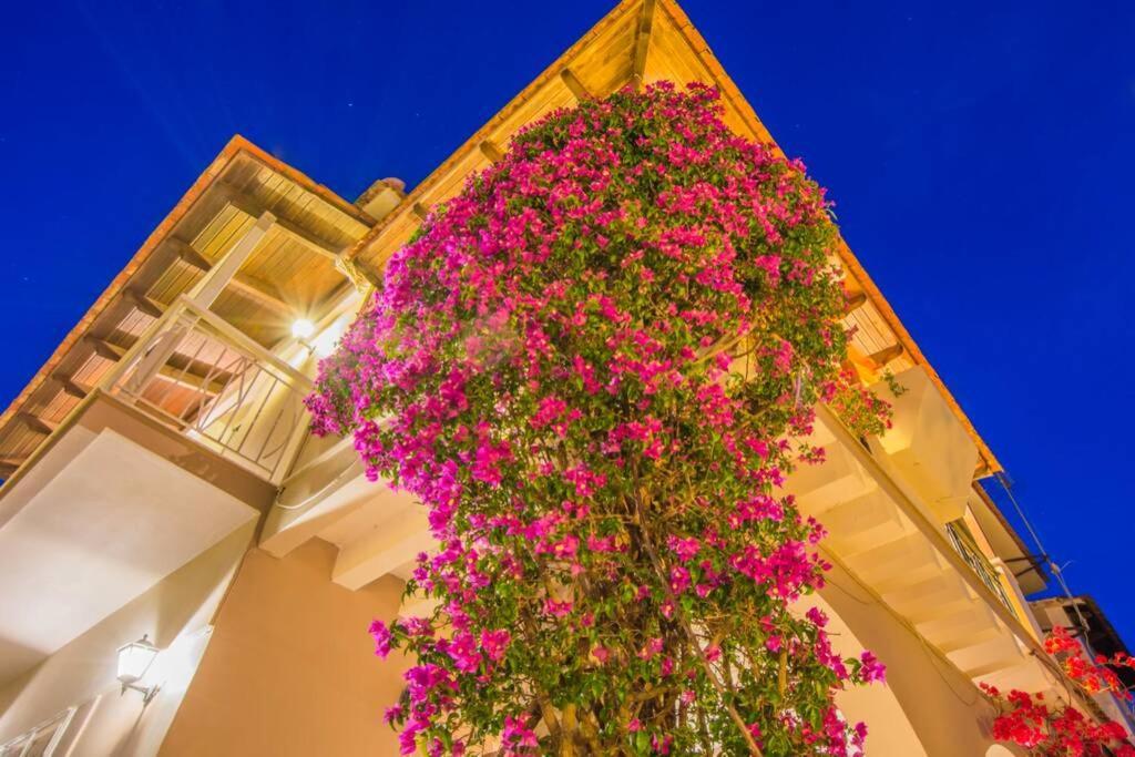 טסיליבי Villa Emily Zakynthos מראה חיצוני תמונה